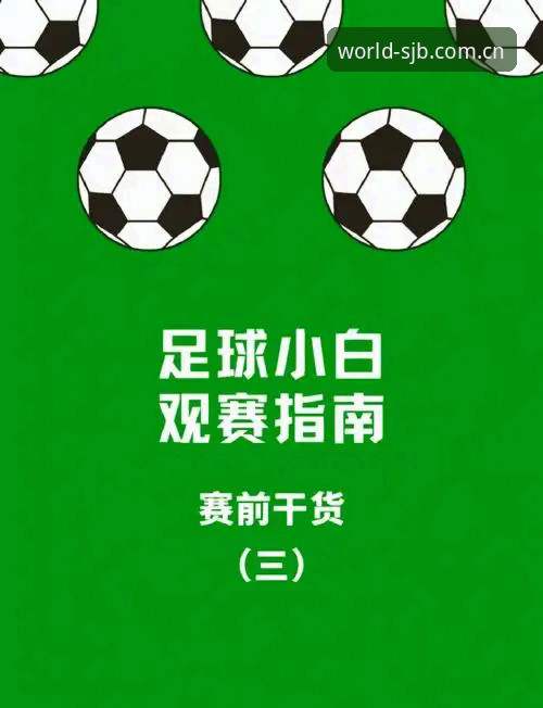 世界杯观赛体验深度评测：签证困局下的“冷场”危机与购彩平台实战指南